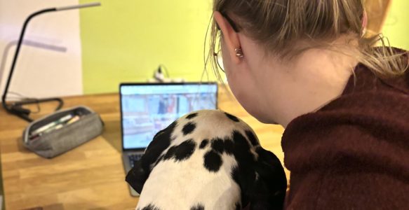 Allgemeine Geschäftsbedingungen (AGB)