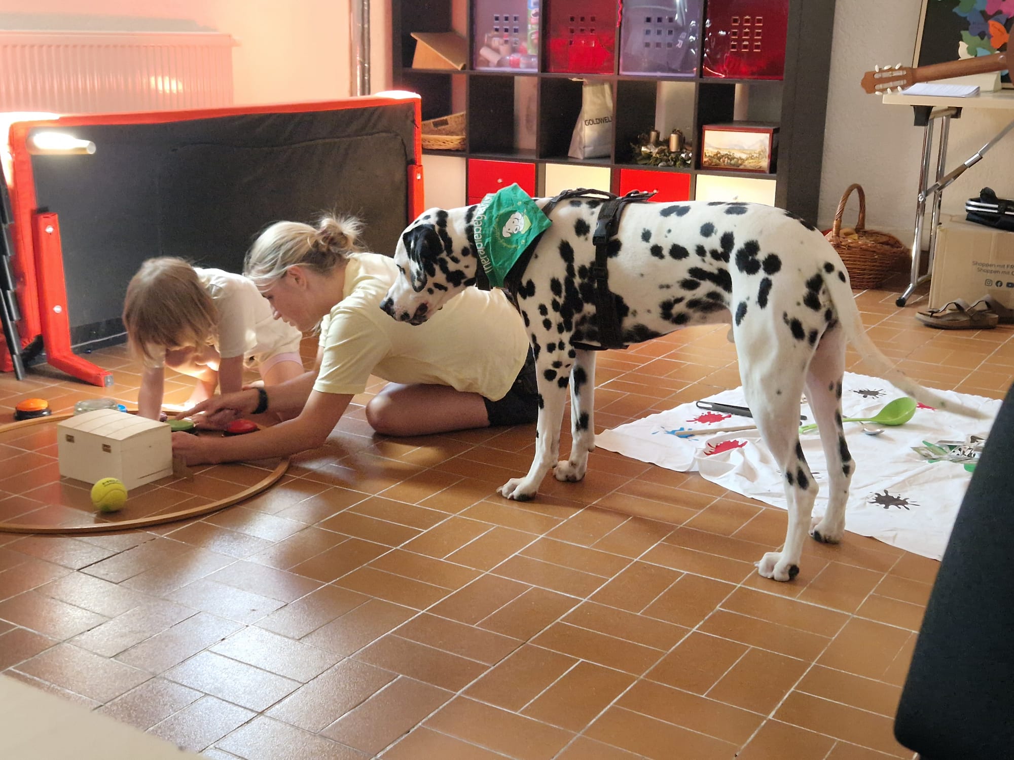 Tiergestützte Arbeit mit Hund